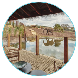 Safari lodges UK